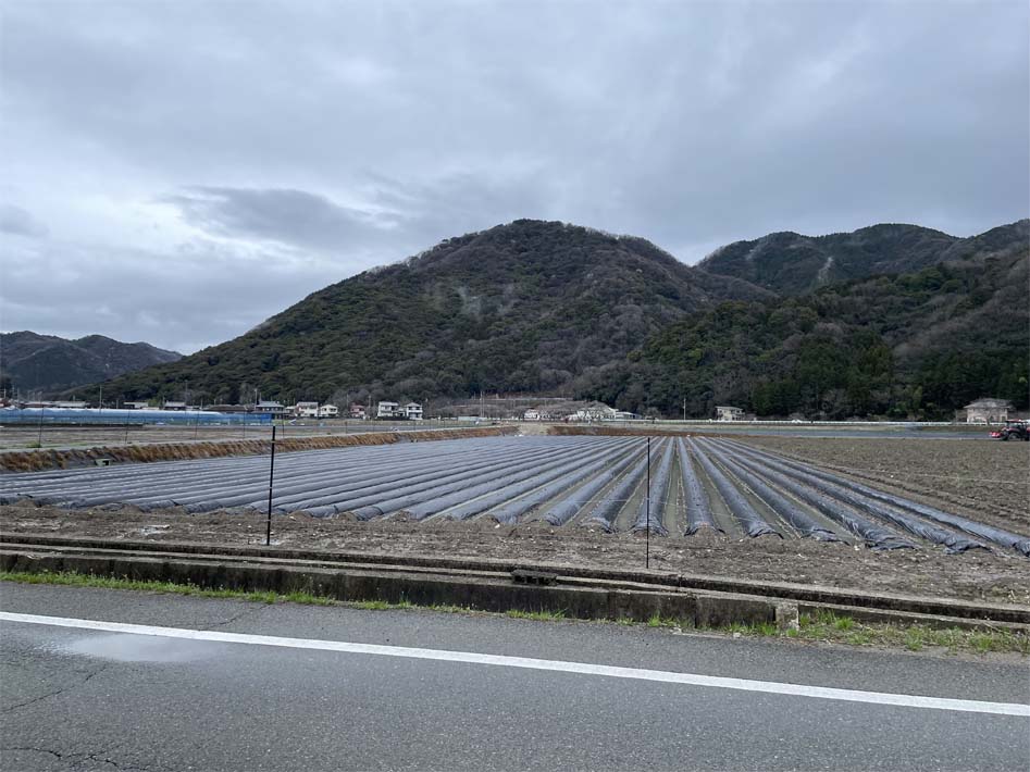 城があった山