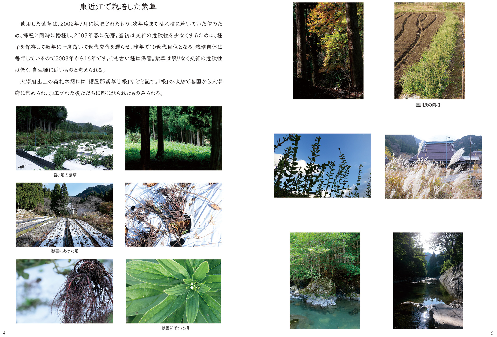 古代の紫染色再現実験報告書3