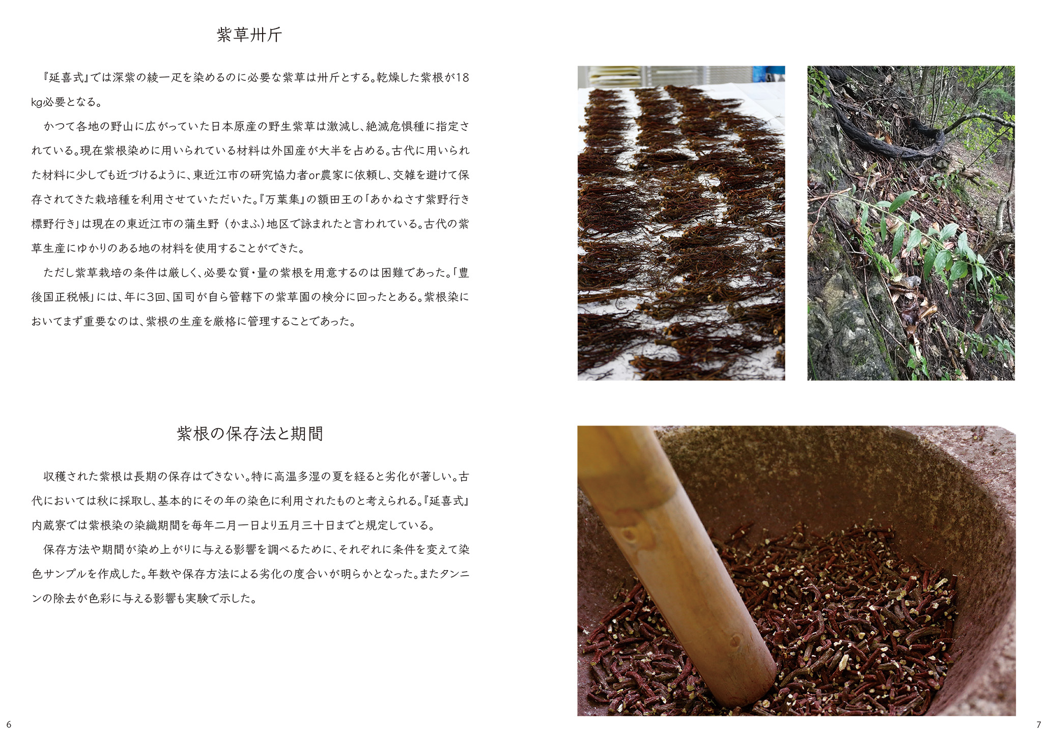 古代の紫染色再現実験報告書4