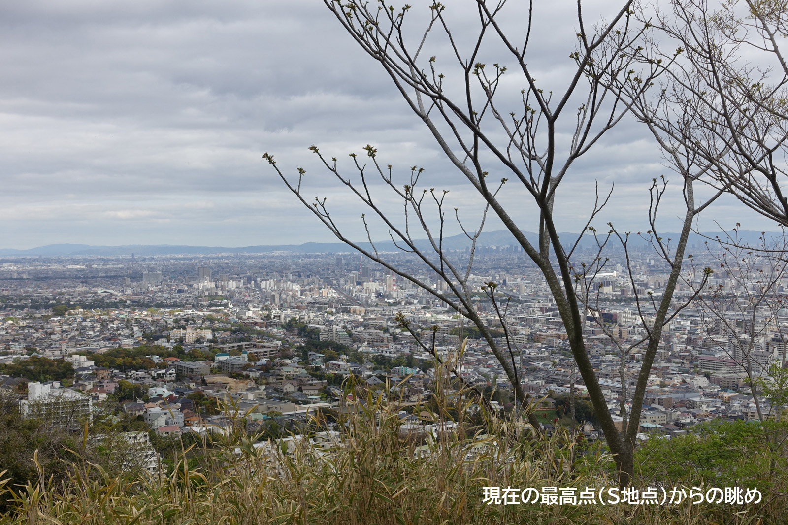 最高点（S地点）からの眺め