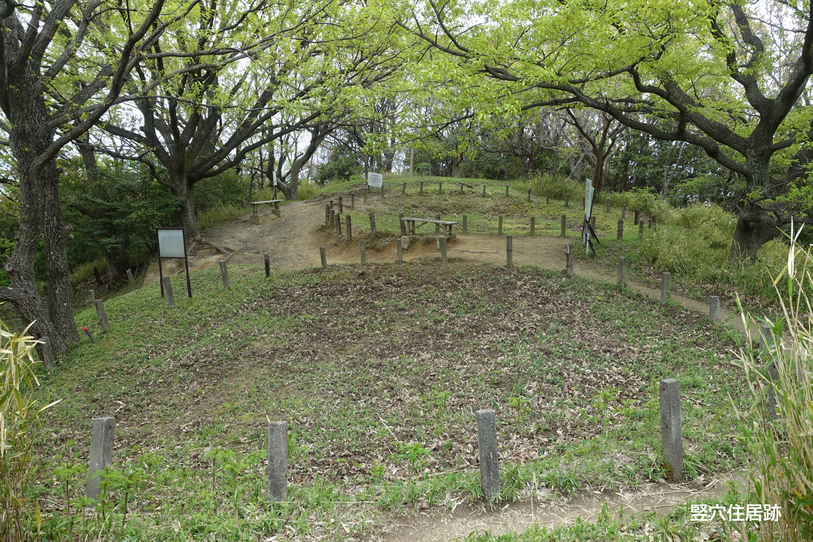 竪穴住居跡